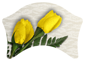 DABAN-059 2 Roses Yellow